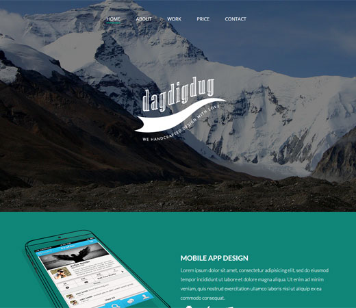 攻击网站的方法