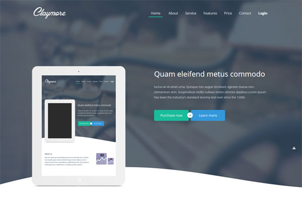 网站攻击软件工具